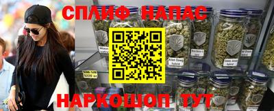 мдпв Можга