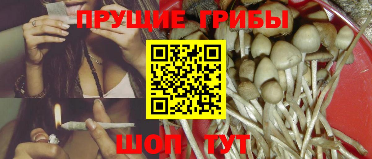 Владикавказ  Галлюциногенные грибы мицелий  Псилоцибиновые грибы прущие грибы  Вход с VPN 